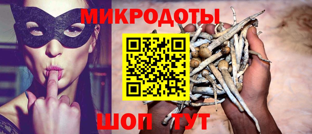 Белорецк  Псилоцибиновые грибы Psilocybe  Вход с VPN 
