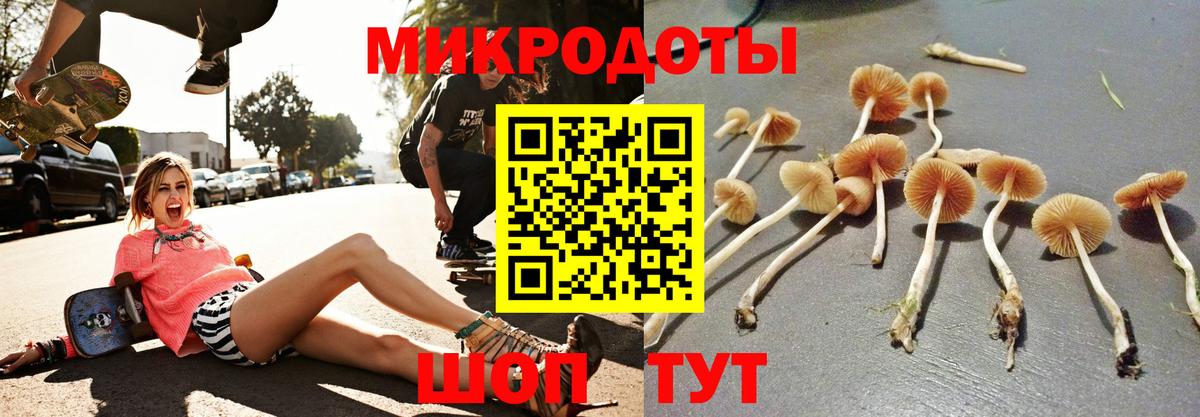 Псилоцибиновые грибы ЛСД Белорецк
